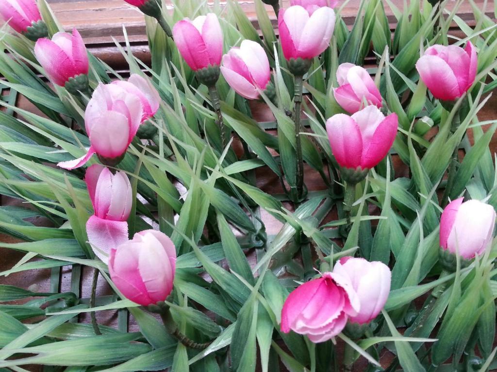 Pink Tulip Hotel Ho Chi Minh-Byen Eksteriør billede